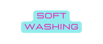 Soft Washing